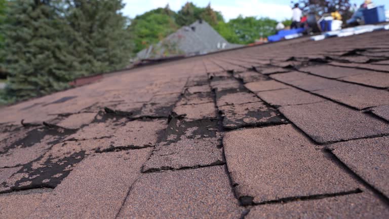Best Wood Shake Roofing  in Harbor Springs, MI